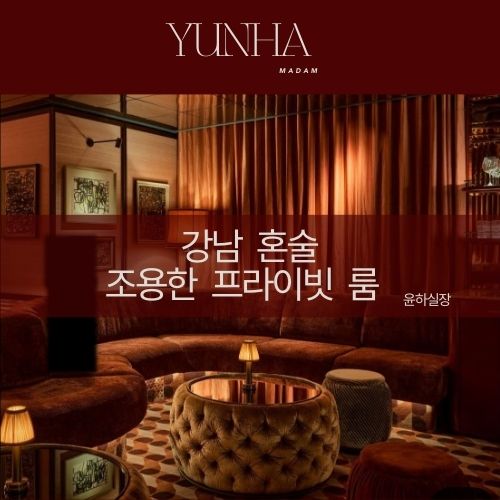 강남 혼술 프라이빗 룸 조용한 술집 추천
