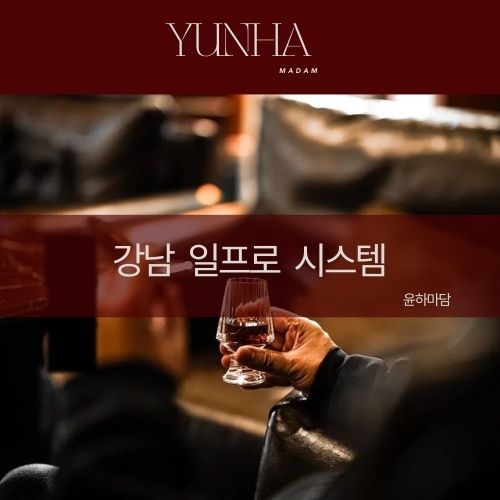 강남 일프로 시스템