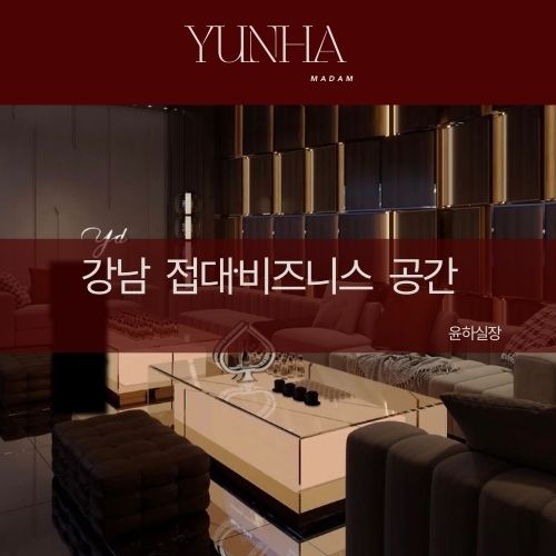 강남 접대·비즈니스 공간
