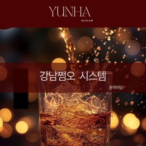 강남쩜오 시스템