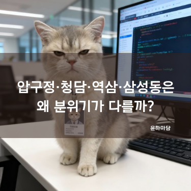 압구정·청담·역삼·삼성동은 왜 분위기가 다를까?